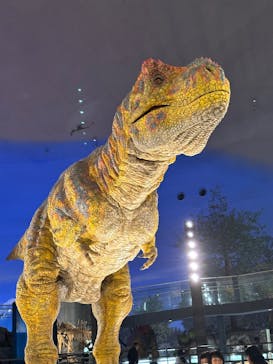 福井県立恐竜博物館に投稿された画像（2025/12/2）