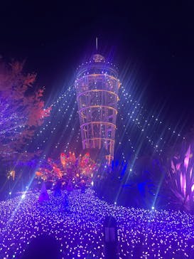江の島シーキャンドルに投稿された画像（2025/12/2）