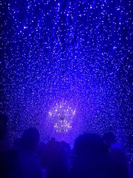 江の島シーキャンドルに投稿された画像（2025/12/2）