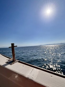 口之津観光船企業組合に投稿された画像（2025/12/2）