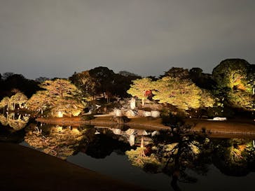 六義園に投稿された画像（2025/12/2）