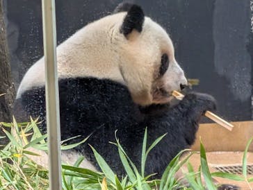 恩賜上野動物園に投稿された画像（2025/12/2）