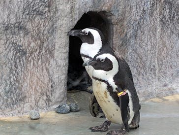 恩賜上野動物園に投稿された画像（2025/12/2）