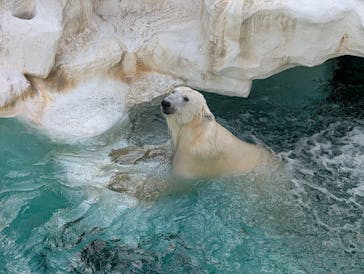 恩賜上野動物園に投稿された画像（2025/12/2）