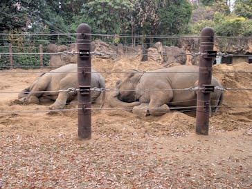 恩賜上野動物園に投稿された画像（2025/12/2）