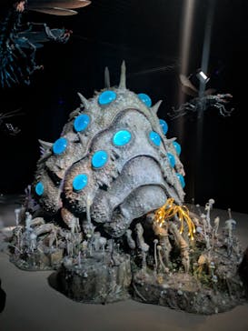 金曜ロードショーとジブリ展（静岡展）に投稿された画像（2025/12/2）