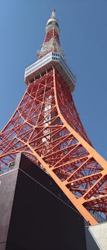 東京タワーに投稿された画像（2025/12/2）