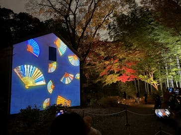 六義園に投稿された画像（2025/12/2）