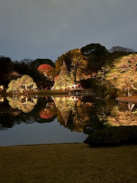 六義園に投稿された画像（2025/12/2）