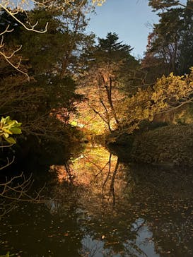 六義園に投稿された画像（2025/12/2）