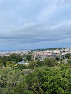 首里城公園 有料区域に投稿された画像（2025/12/2）