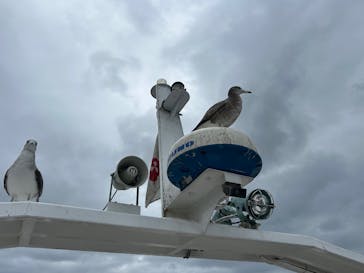 伊根湾めぐり遊覧船に投稿された画像（2025/12/2）
