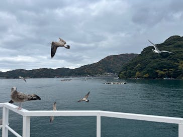 伊根湾めぐり遊覧船に投稿された画像（2025/12/2）