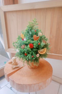 Apertio Floris（アペルティオーフローリス）に投稿された画像（2025/12/2）