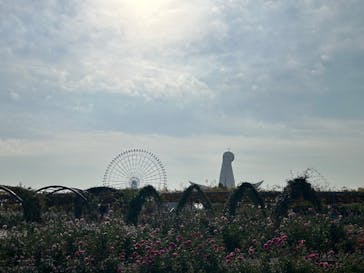 万博記念公園に投稿された画像（2025/12/2）