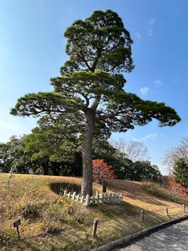 万博記念公園に投稿された画像（2025/12/2）