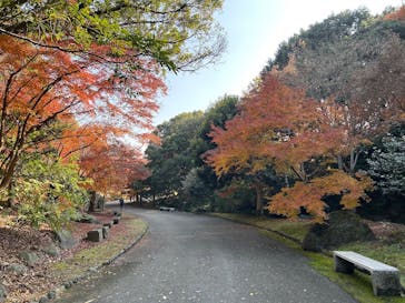 万博記念公園に投稿された画像（2025/12/2）