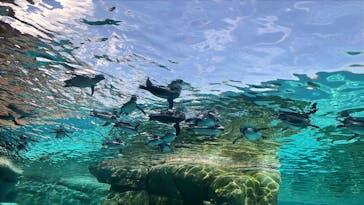 天王寺動物園に投稿された画像（2025/12/2）