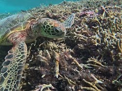 元気玉に投稿された画像（2025/12/2）