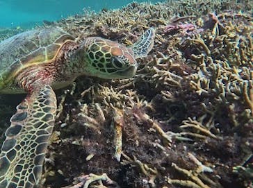 元気玉に投稿された画像（2025/12/2）