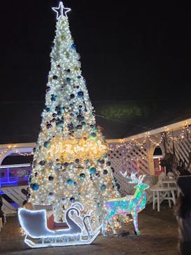 修善寺虹の郷に投稿された画像（2025/12/2）