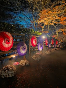 修善寺虹の郷に投稿された画像（2025/12/2）