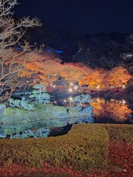 修善寺虹の郷に投稿された画像（2025/12/2）