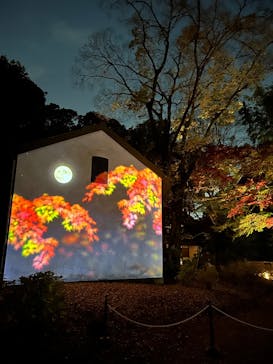 六義園に投稿された画像（2025/12/2）