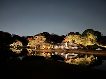 六義園に投稿された画像（2025/12/2）
