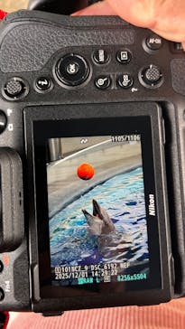 大分マリーンパレス水族館 「うみたまご」に投稿された画像（2025/12/2）