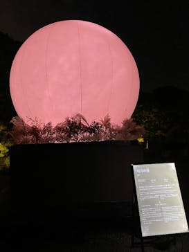 NAKED meets 二条城 2025 観月に投稿された画像（2025/12/2）