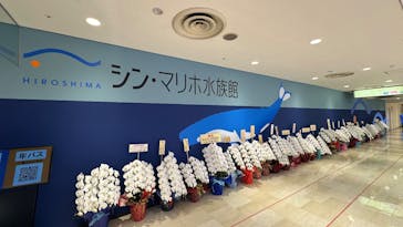 シン・マリホ水族館に投稿された画像（2025/12/2）