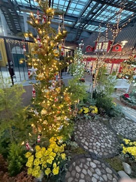 安城産業文化公園デンパークに投稿された画像（2025/12/2）