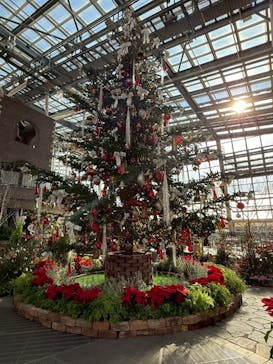 安城産業文化公園デンパークに投稿された画像（2025/12/2）