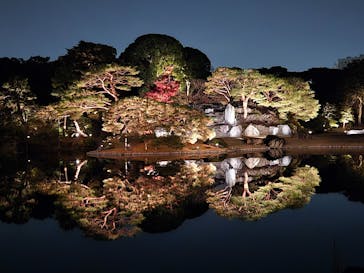 六義園に投稿された画像（2025/12/2）