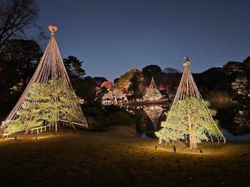 六義園に投稿された画像（2025/12/2）