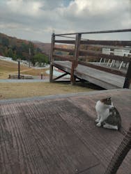 NESTA RESORT KOBE（ネスタリゾート神戸）に投稿された画像（2025/12/2）