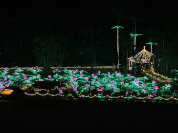 美らヤシパークオキナワ・東南植物楽園に投稿された画像（2025/12/2）