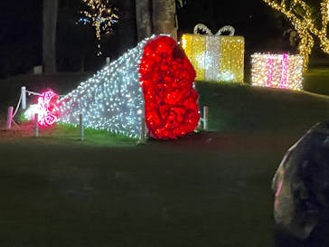 美らヤシパークオキナワ・東南植物楽園に投稿された画像（2025/12/2）