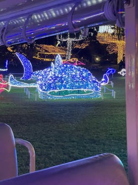 美らヤシパークオキナワ・東南植物楽園に投稿された画像（2025/12/2）