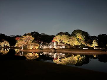 六義園に投稿された画像（2025/12/2）