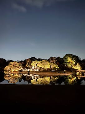 六義園に投稿された画像（2025/12/2）