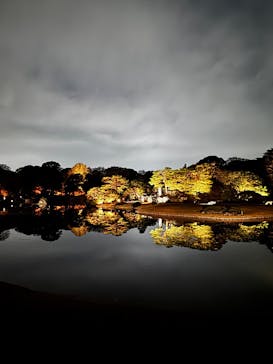 六義園に投稿された画像（2025/12/2）