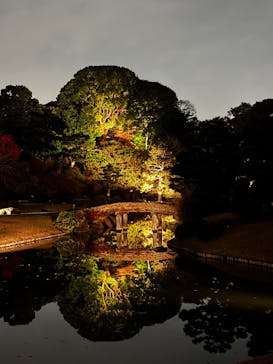 六義園に投稿された画像（2025/12/2）