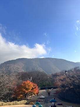 彫刻の森美術館に投稿された画像（2025/12/2）