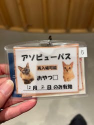 猫カフェモカ 梅田店に投稿された画像（2025/12/2）