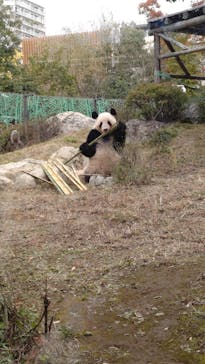 恩賜上野動物園に投稿された画像（2025/12/2）