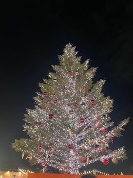 Christmas Market in 横浜赤レンガ倉庫 2025に投稿された画像（2025/12/2）