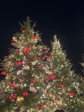 Christmas Market in 横浜赤レンガ倉庫 2025に投稿された画像（2025/12/2）