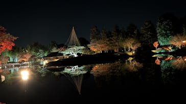 国営昭和記念公園 秋の夜散歩に投稿された画像（2025/12/2）